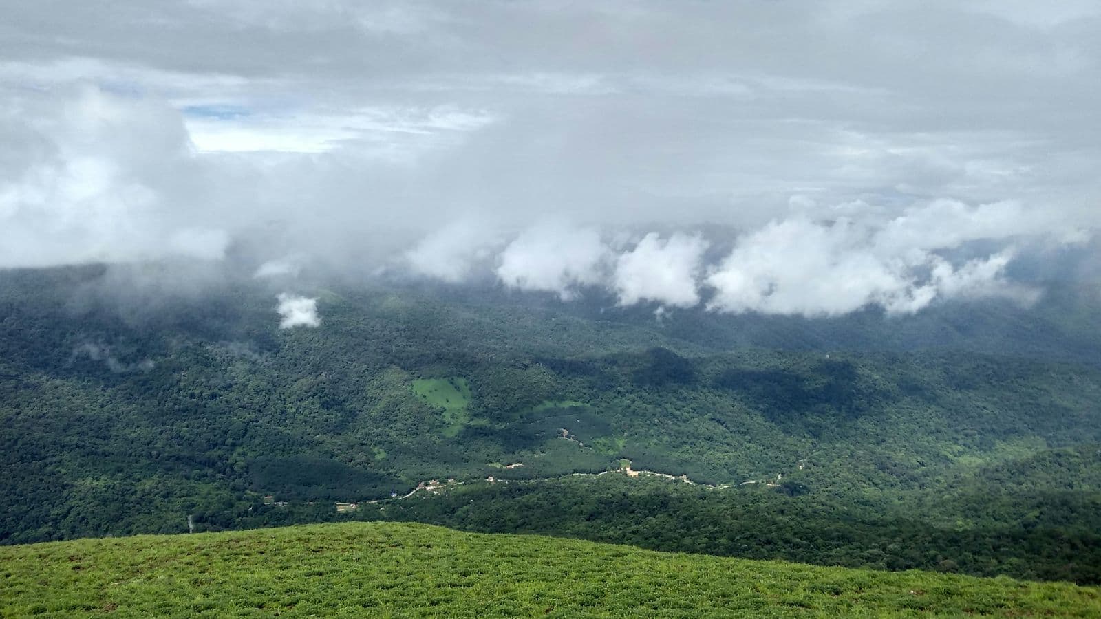 Coffee estates and Western Ghats hills in Coorg, Karnataka